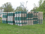 Pallets / Plastic 